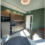 Rent 2 bedroom apartment of 60 m² in Turin