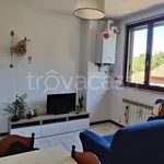 Rent 2 bedroom apartment of 55 m² in Urbino