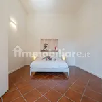 Rent 2 bedroom apartment of 35 m² in Modena