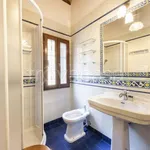 Rent 3 bedroom apartment of 60 m² in Firenze