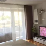 Rent 1 bedroom apartment of 45 m² in Dusseldorf