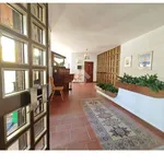 Rent 2 bedroom apartment of 33 m² in Canove di Roana