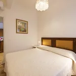 Rent 1 bedroom apartment in Florence