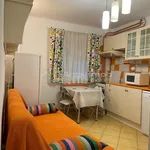 Rent 2 bedroom apartment of 54 m² in Lovnic