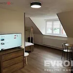 Rent 1 bedroom apartment of 46 m² in Liberec (nečleněné město)