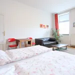 Miete 1 Schlafzimmer wohnung von 38 m² in Vienna