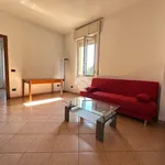 Rent 3 bedroom apartment of 70 m² in Pavia