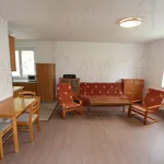 Rent 3 bedroom apartment of 79 m² in Brno