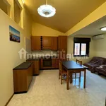 Rent 2 bedroom apartment of 50 m² in Messina