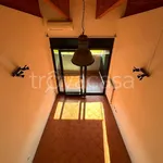 Rent 2 bedroom apartment of 50 m² in Bologna