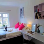 Rent 1 bedroom flat in Coventry