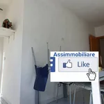 Affitto 4 camera appartamento di 100 m² in Latina