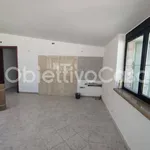 Rent 3 bedroom apartment of 80 m² in Caserta