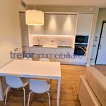 2-room flat via Trieste 4/A, Centro, San Donato Milanese