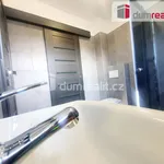 Rent 1 bedroom house of 340 m² in Křenek