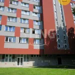 Rent 1 bedroom apartment of 22 m² in Ostrava