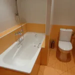 Rent 2 bedroom apartment of 65 m² in  ulice Hybešova