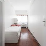 Rent a room in lisbon