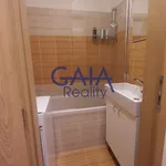 Rent 1 bedroom apartment in Kyjov