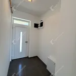 Rent 4 bedroom apartment of 66 m² in Gyor