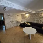 Rent 1 bedroom apartment of 50 m² in Padova