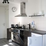 Rent 1 bedroom apartment of 452 m² in Amsterdam