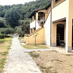 Rent 3 bedroom apartment of 75 m² in Valfabbrica