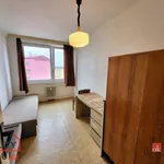 Rent 2 bedroom apartment of 40 m² in Krupka