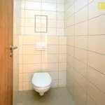 Rent 2 bedroom apartment of 69 m² in České Budějovice