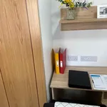 Rent 1 bedroom apartment in Leicester