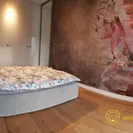 Rent 3 bedroom apartment of 67 m² in Wrocław