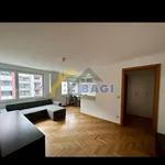 Rent 2 bedroom apartment of 48 m² in City of Zagreb