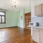 Rent 1 bedroom apartment of 30 m² in Česká Kamenice