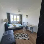 Rent 2 bedroom apartment of 58 m² in budapest