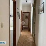 Affitto 3 camera appartamento di 100 m² in Palermo