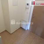 Pronajměte si 1 ložnic/e byt o rozloze 36 m² v Prague