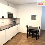 Rent 1 bedroom apartment of 34 m² in Brno