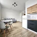 Rent 1 bedroom apartment of 48 m² in Sosnowiec