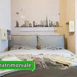 Rent 1 bedroom apartment of 40 m² in Turin