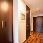 Rent 1 bedroom apartment of 50 m² in Dubai