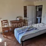 Rent 2 bedroom apartment of 50 m² in Siena