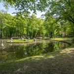 Miete 2 Schlafzimmer wohnung von 37 m² in Bayreuth