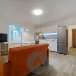 Rent 2 bedroom apartment of 48 m² in Brno