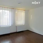 Pronájem bytu 1+1 55m²