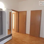 Rent 3 bedroom apartment of 90 m² in Brno