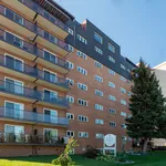 Rent 2 bedroom apartment in Windsor, ON