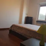 Rent 1 bedroom apartment in Milan