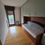 Rent 3 bedroom apartment of 85 m² in Udine