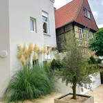 Rent 2 bedroom apartment of 55 m² in Steinfurt