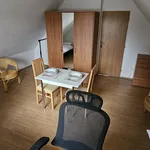 Rent 1 bedroom apartment in Brno